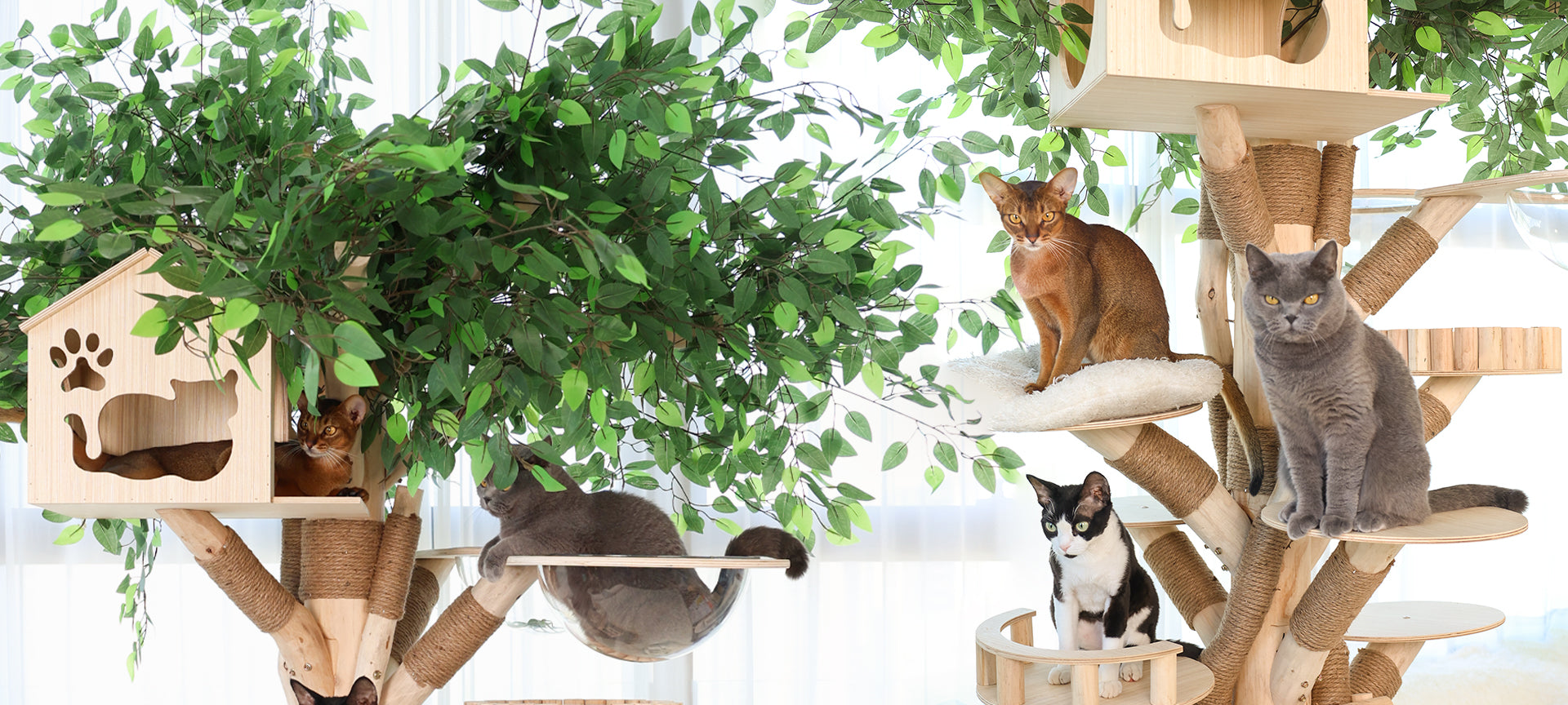 files/10.16.jpg files/10.16.jpg