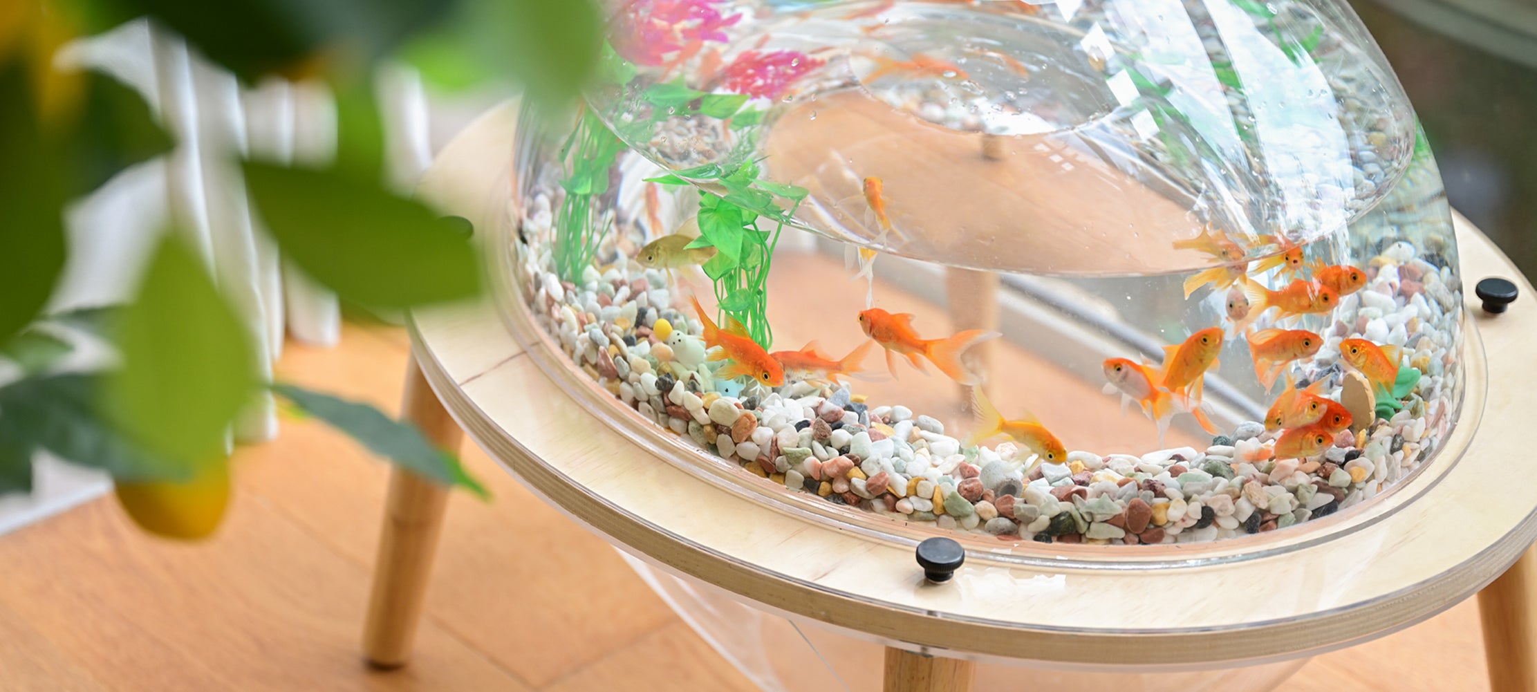 files/3_7e74ced2-0ec0-4b5a-bcba-fdc25b4eb7ed.jpg files/3_7e74ced2-0ec0-4b5a-bcba-fdc25b4eb7ed.jpg