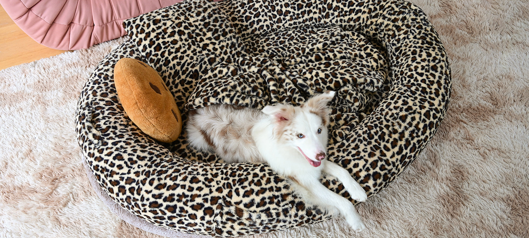 files/c3dd00650aa20010fb014c1b35cb5013.jpg files/c3dd00650aa20010fb014c1b35cb5013.jpg