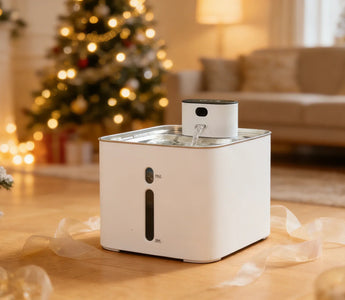 Is a Stainless Steel Cat Water Bowl the Healthiest Choice for Your Cat?