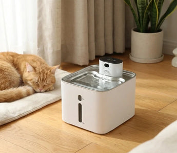 How Often Should I Clean My Pet Water Fountain?