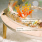 Furdear Wooden Acrylic Aquarium 4 Gallon Cat Fish Tank