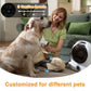 5-in-1 Pet Grooming Vacuum and Dryer for Dogs Cats