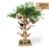 Furdear Tree Inspired Cat Tower