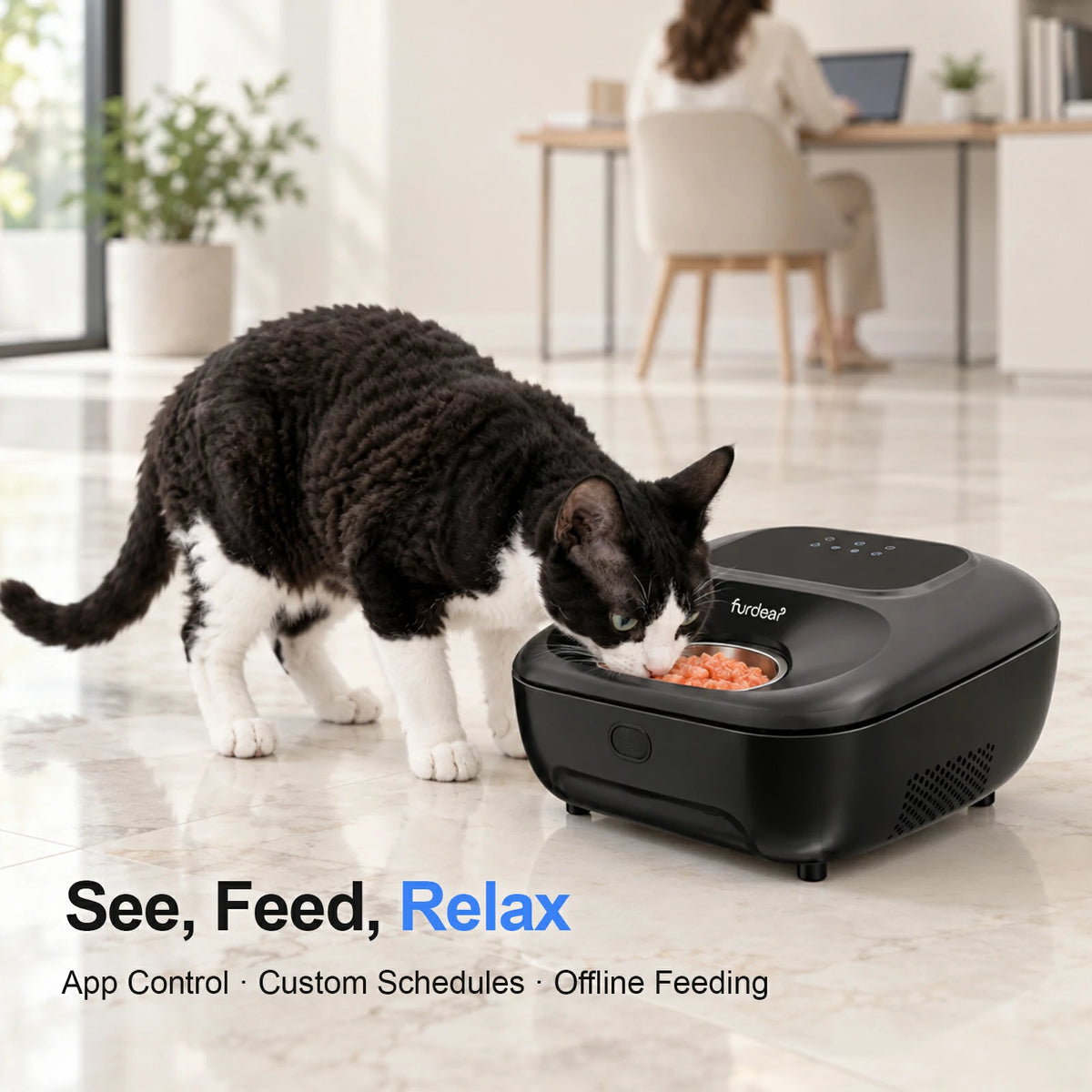 Furdear Europa Lite Smart Wet Food Feeder