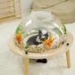 Furdear Wooden Acrylic Aquarium 4 Gallon Cat Fish Tank