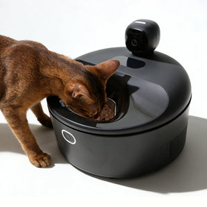 Furdear Europa E1 Refrigerated Wet Food Feeder