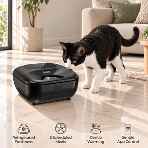 Furdear Europa Lite Smart Wet Food Feeder