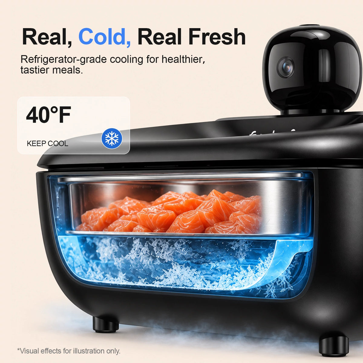 Furdear Europa Pro Smart Wet Food Feeder with Camera
