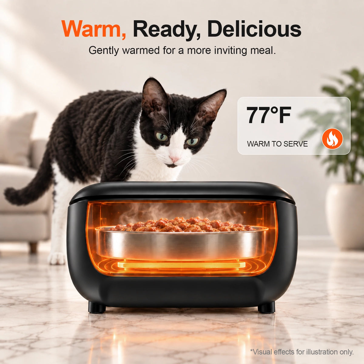 Furdear Europa Lite Smart Wet Food Feeder