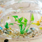 Furdear Wooden Acrylic Aquarium 4 Gallon Cat Fish Tank