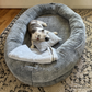 Furdear Super Large Luxury Human Dog Bed