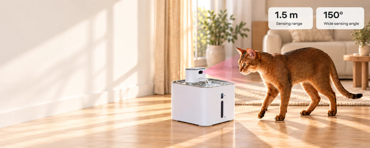 A brown cat approaches a white Furdear water fountain in a sunlit living room, with graphics showing a 1.5 m sensing range and 150° sensing angle.