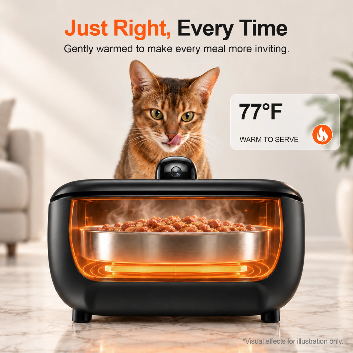 Cutaway illustration of a black Furdear Europa Pro feeder warming wet food, with a brown cat behind it and a 77°F serving temperature label.