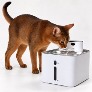 Cat drinking from a white Furdear Hydra water fountain with a stainless steel tray against a clean background.