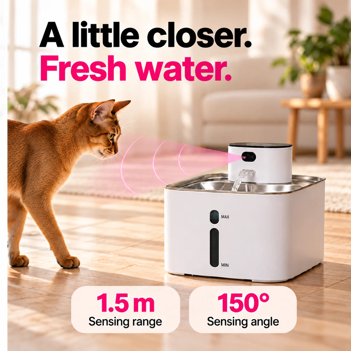 Cat approaching the Furdear Hydra water fountain, illustrating its 1.5 m sensing range and 150-degree sensing angle.
